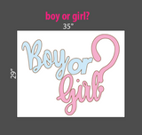"Oh Baby Boy", "Oh Baby Girl", "Boy or Girl" Sign | Baby Shower Decoration | Birthday Decoration