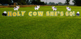 60th Birthday Yard Sign