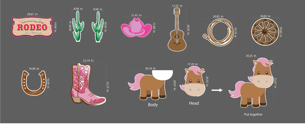 Cowgirl Rodeo theme props, This Ain't my first Rodeo is a perfect them ...