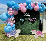 Cute twin baby sea turtles, Gender Reveal Turtle props