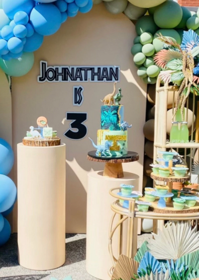 Dino Party Decor