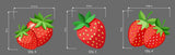 13 Large Strawberry Cutouts – Berry First Birthday Party Decorations