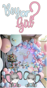 Boy or Girl Event Sign Backdrop