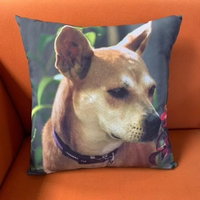 Custom Pet Pillows